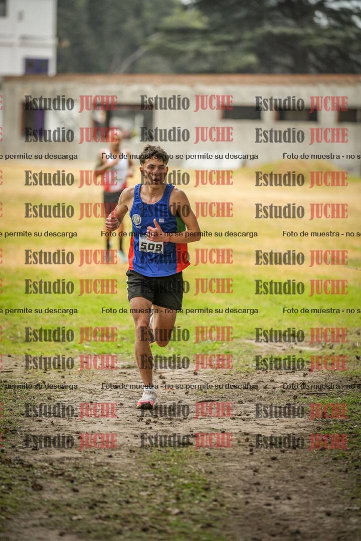 Fotos en el circuito