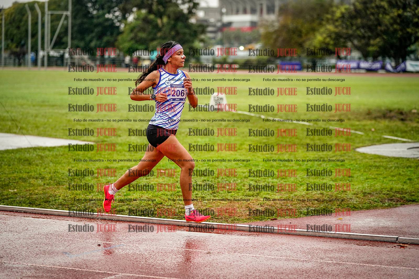 Fotos de los 1500 m llanos de mujeres