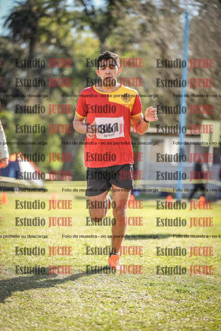 Fotos de la llegada del cross de 8000 m