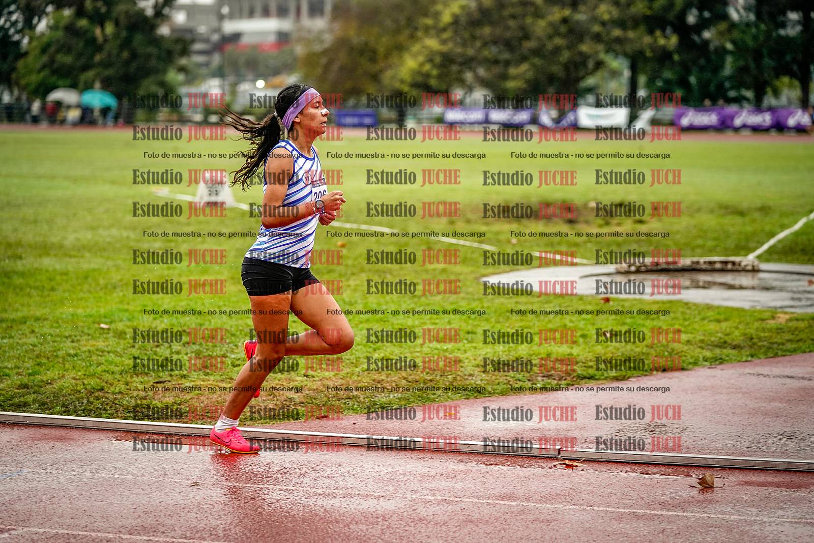 Fotos de los 1500 m llanos de mujeres