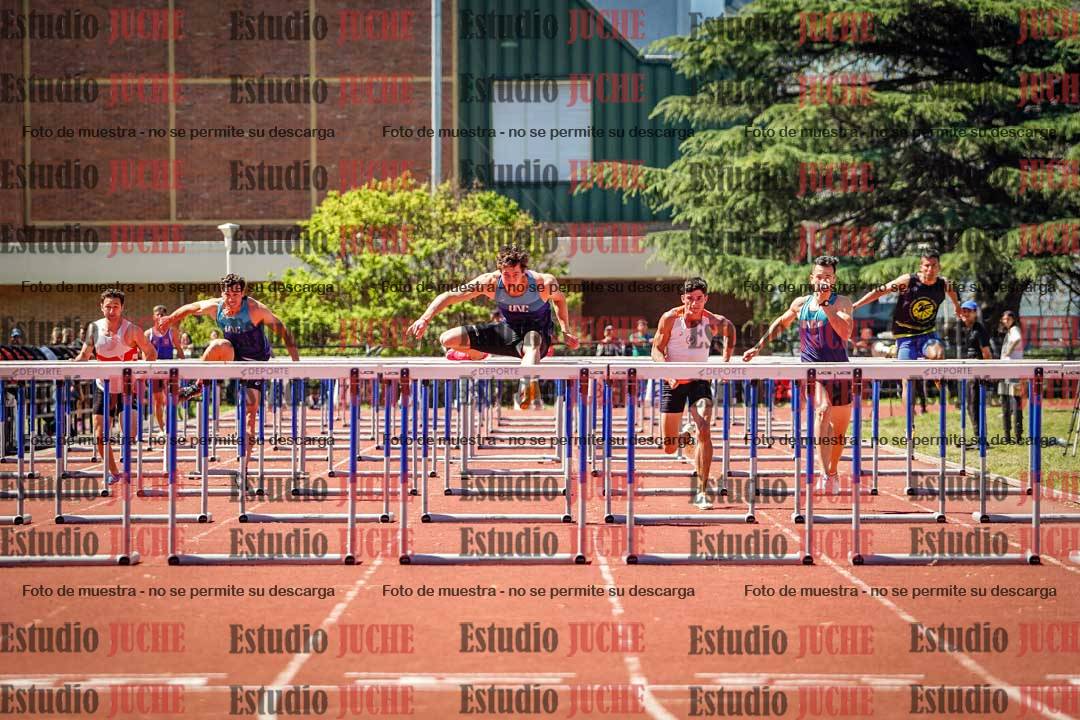 Fotos de los 110 m con vallas de varones