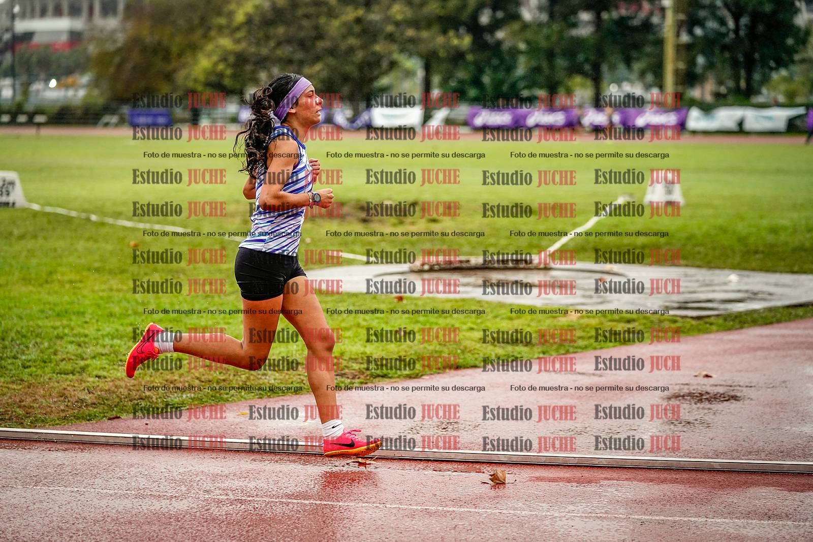 Fotos de los 1500 m llanos de mujeres