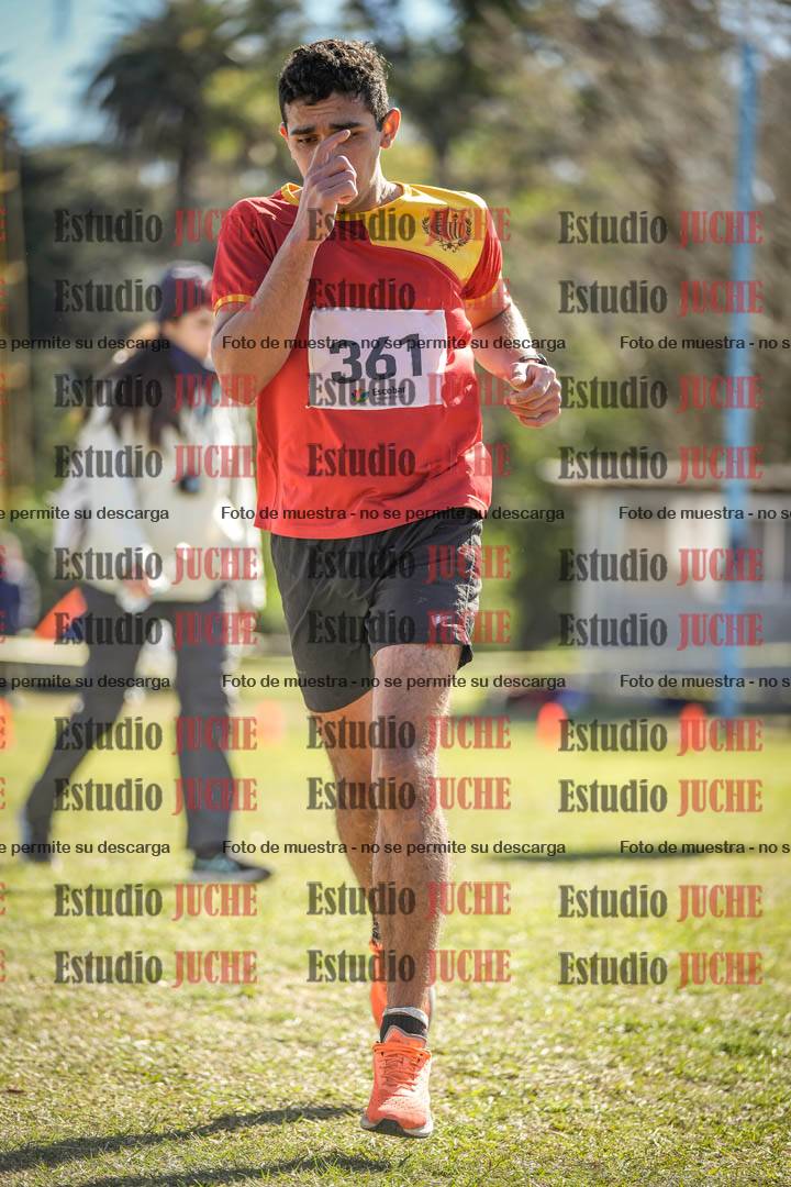 Fotos de la llegada del cross de 8000 m