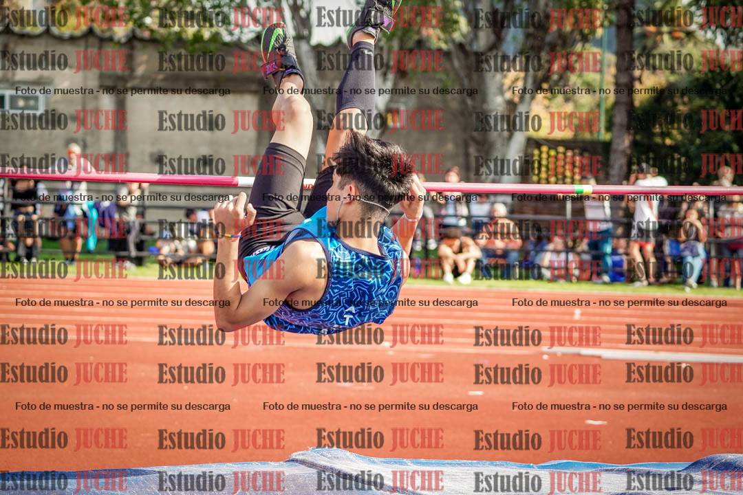 Fotos del salto en alto de varones