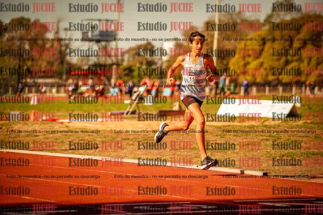 Fotos de los 800 m llanos de varones