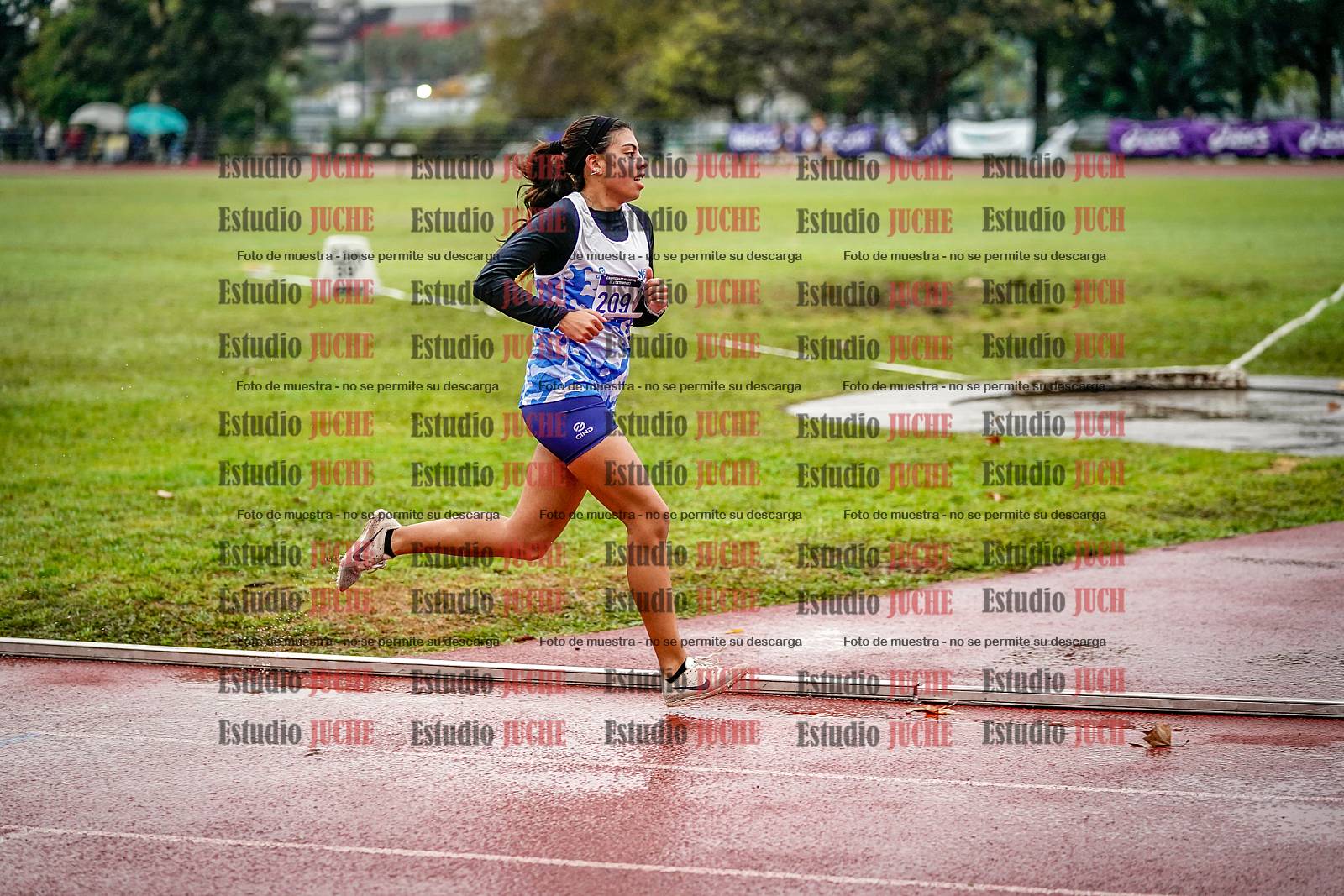 Fotos de los 1500 m llanos de mujeres