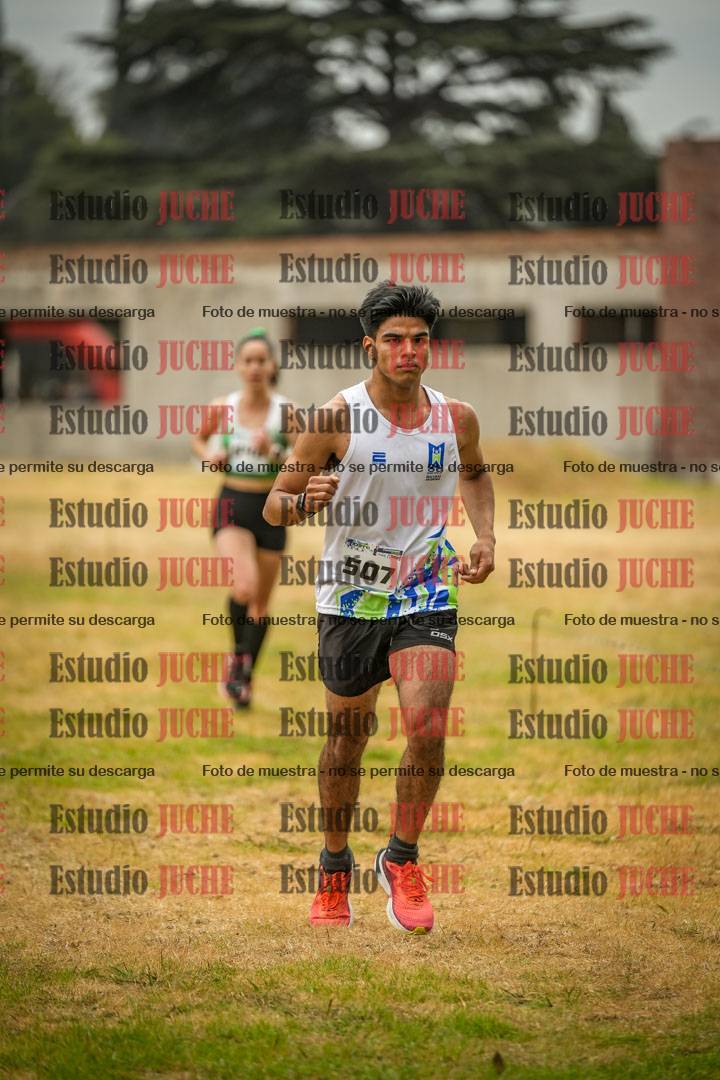 Fotos en el circuito