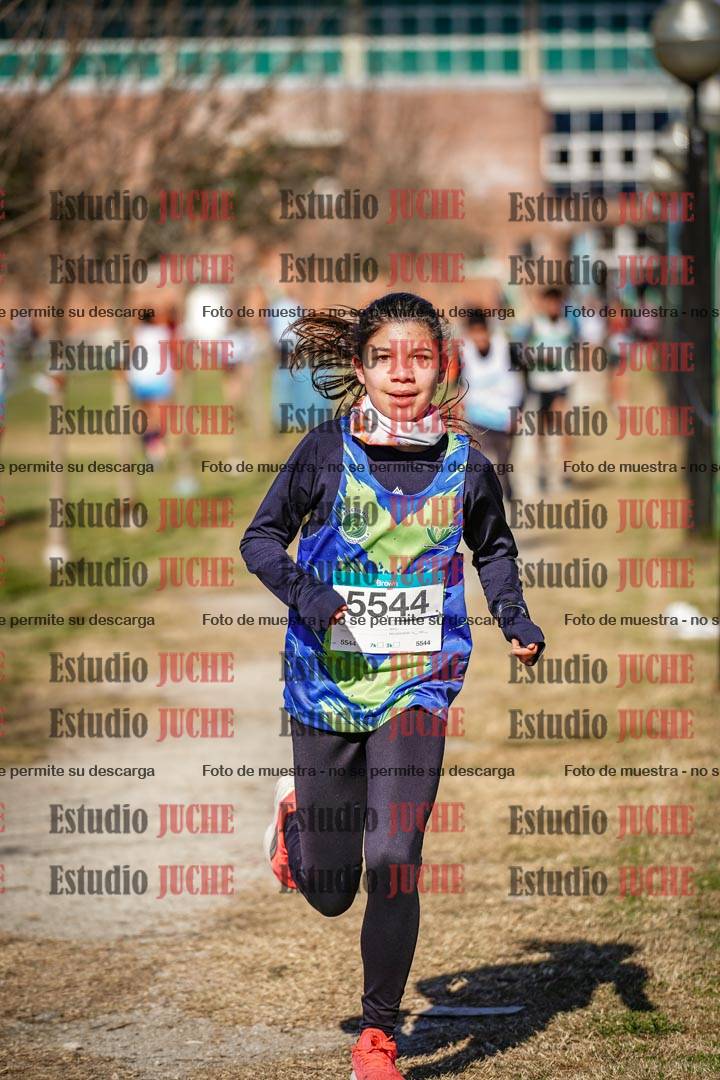 Fotos en el circuito