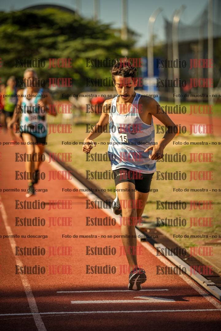 Fotos de los 800 m llanos de varones