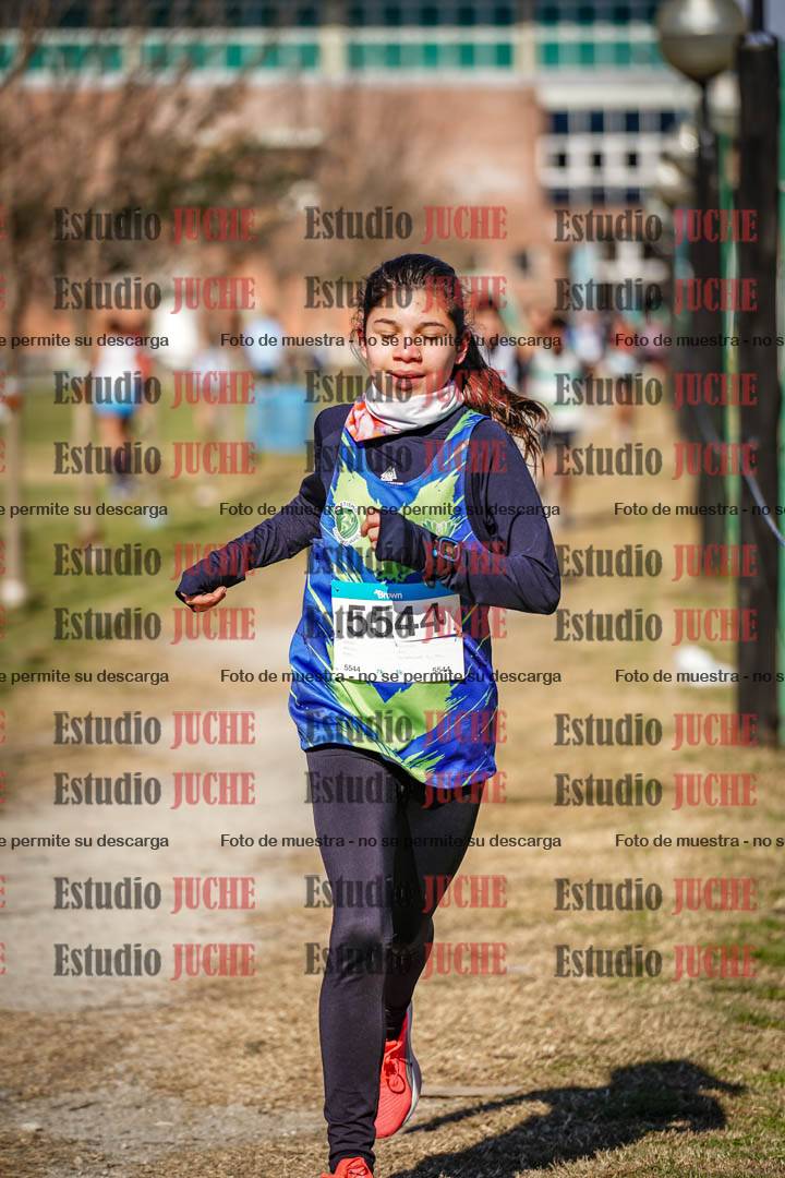Fotos en el circuito