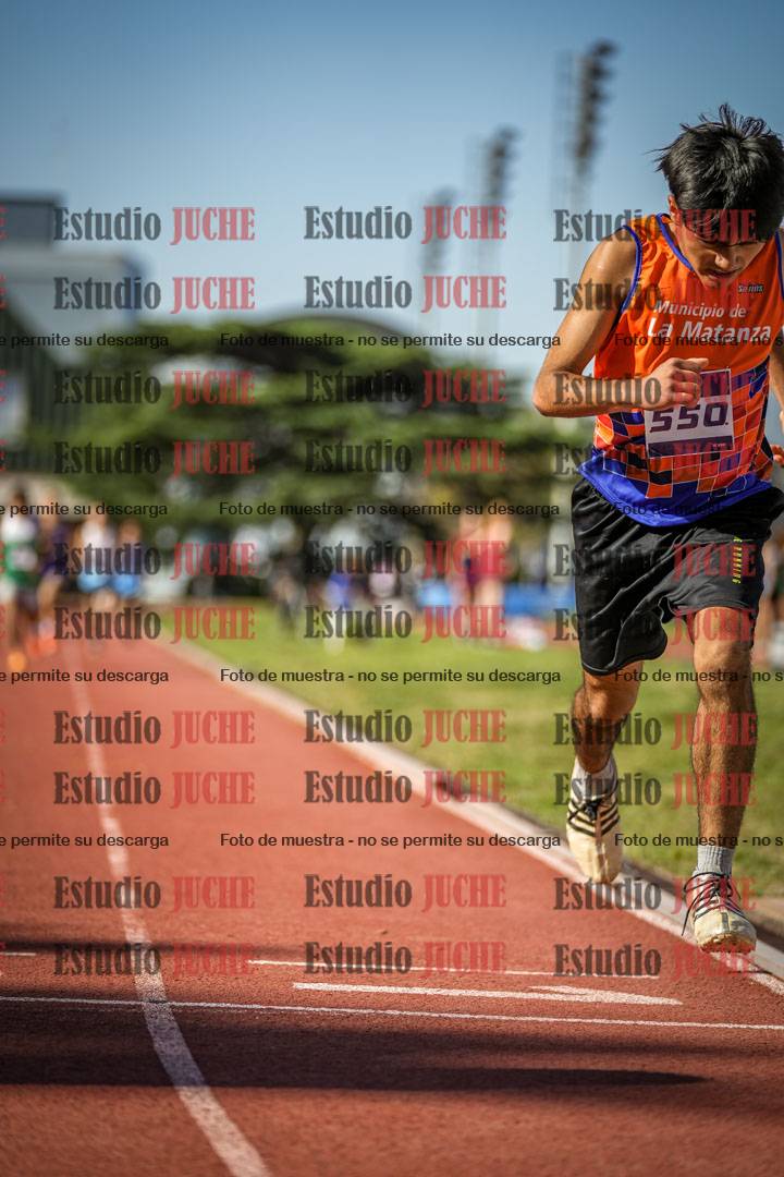 Fotos de los 600 m llanos de varones