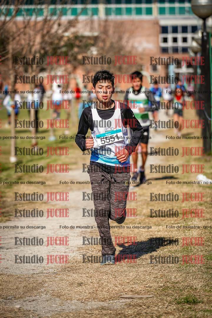 Fotos en el circuito