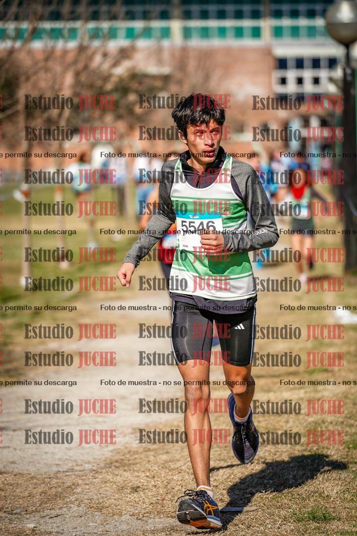 Fotos en el circuito