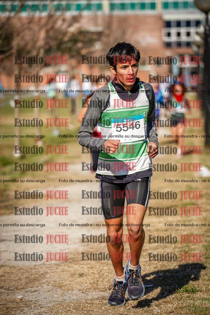 Fotos en el circuito