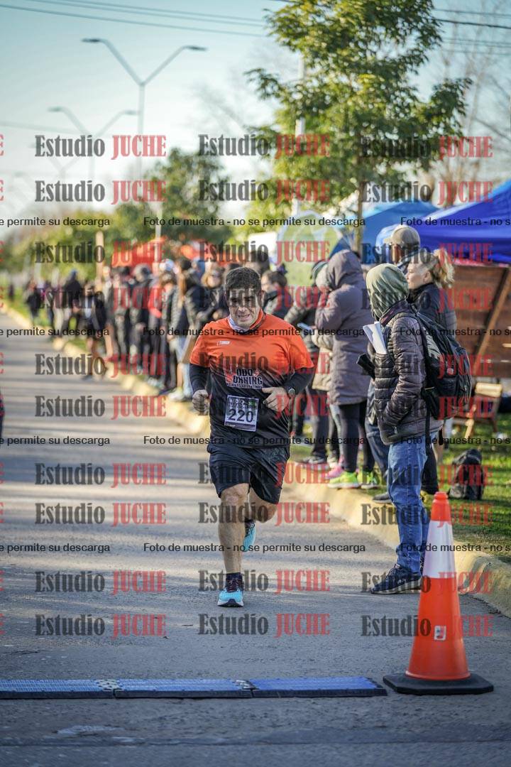 Fotos de las llegadas