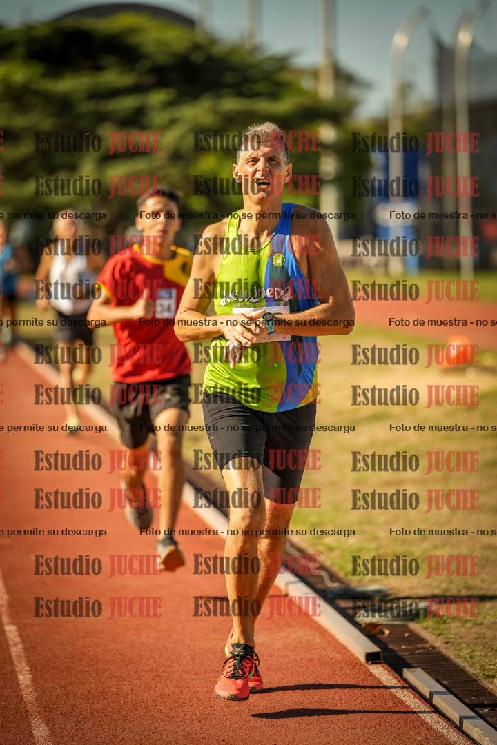Fotos de los 800 m llanos de varones