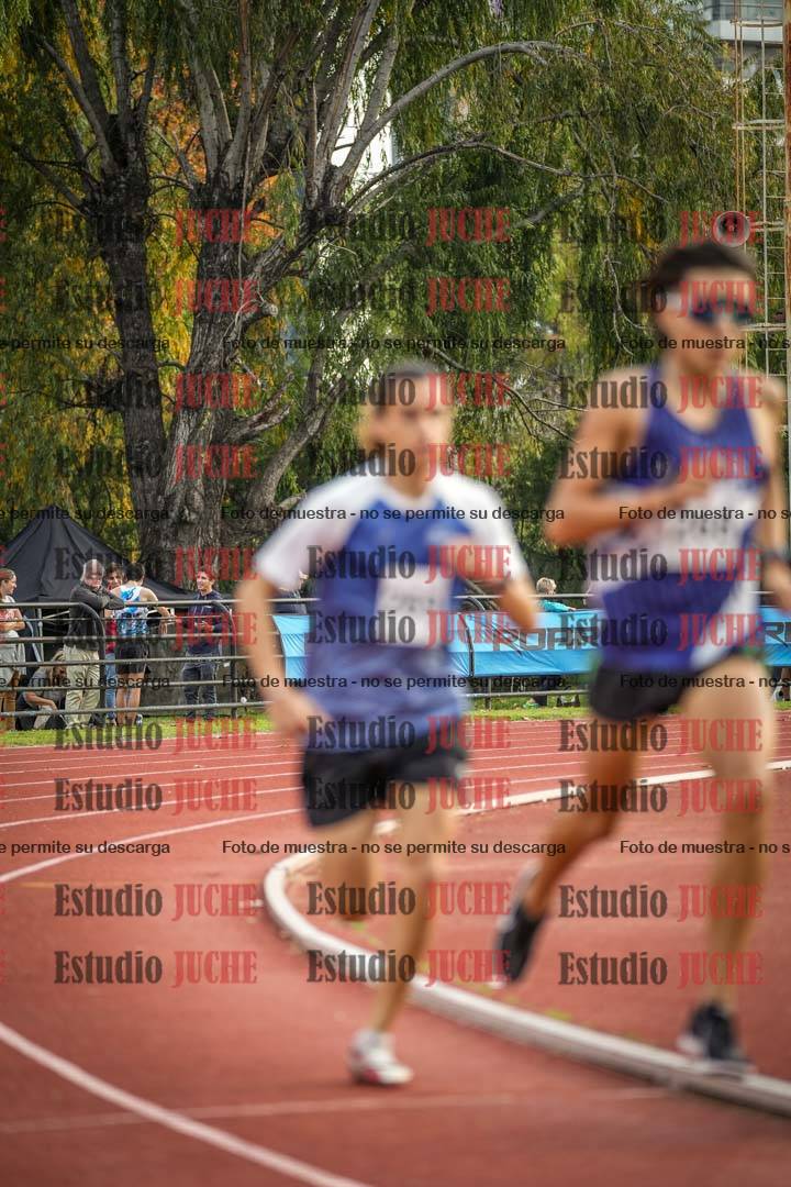 Fotos de los 1500 m llanos de varones