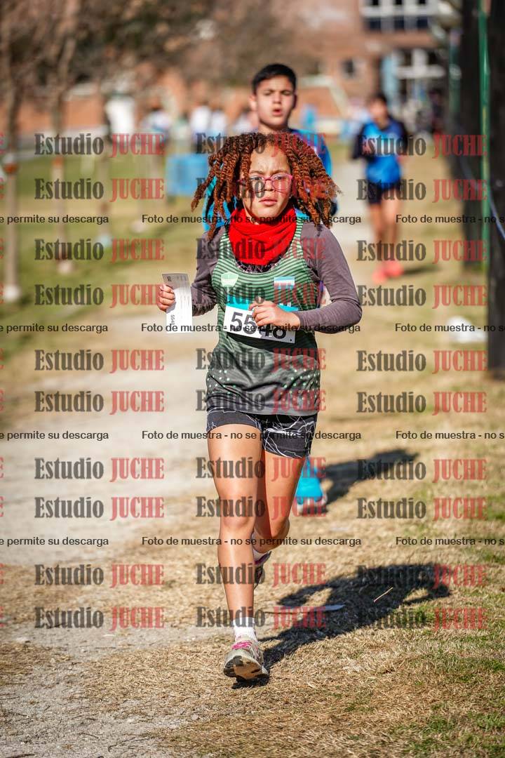 Fotos en el circuito