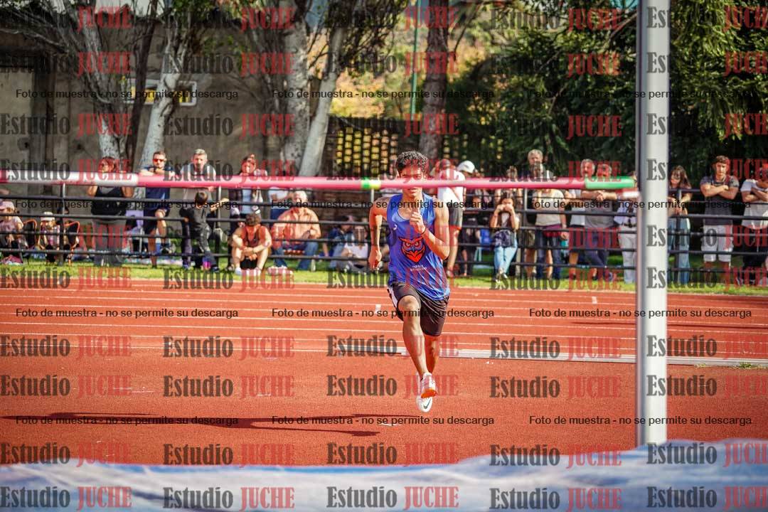 Fotos del salto en alto de varones