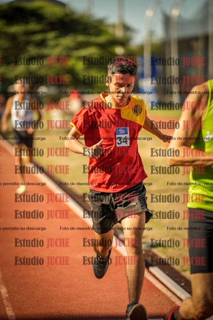 Fotos de los 800 m llanos de varones