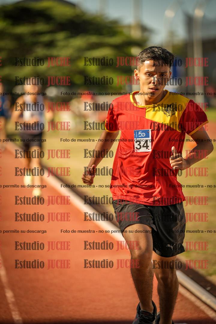Fotos de los 800 m llanos de varones