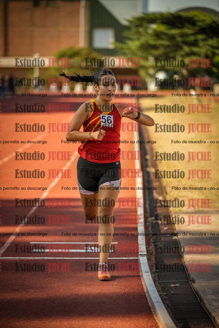 Fotos de los 1500 m de mujeres