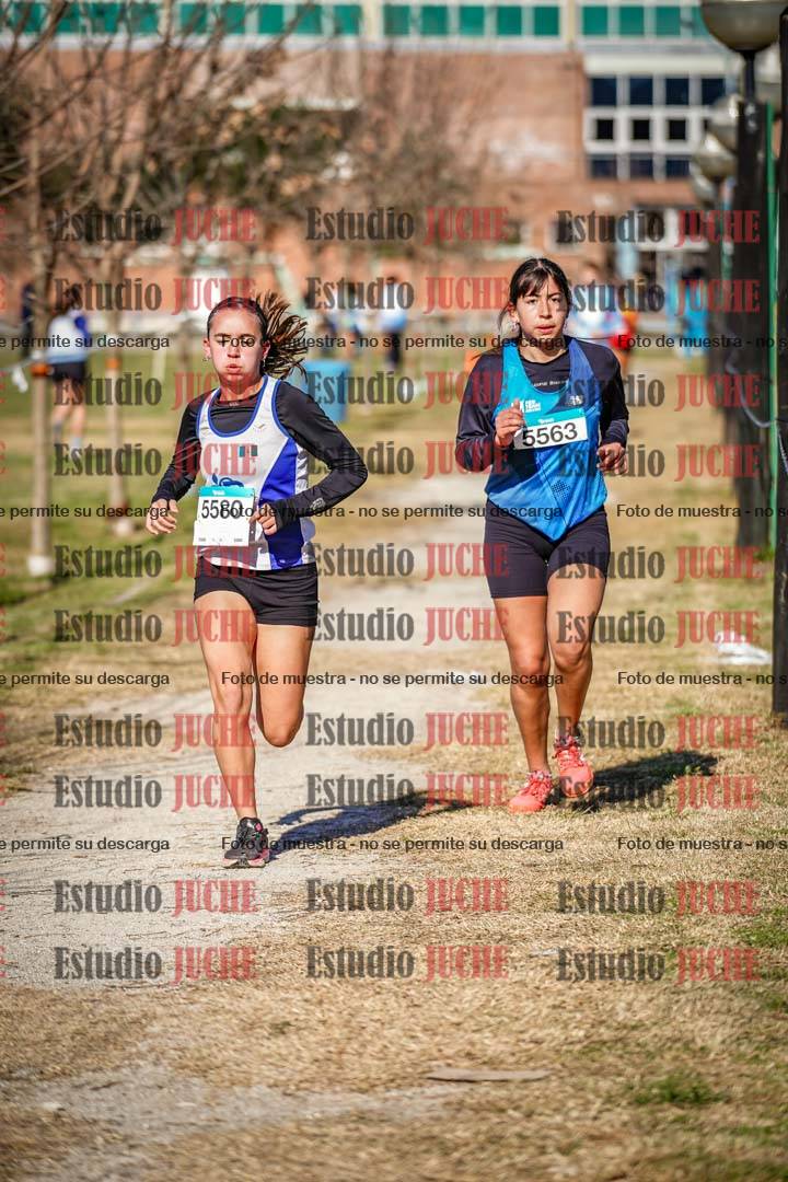 Fotos en el circuito