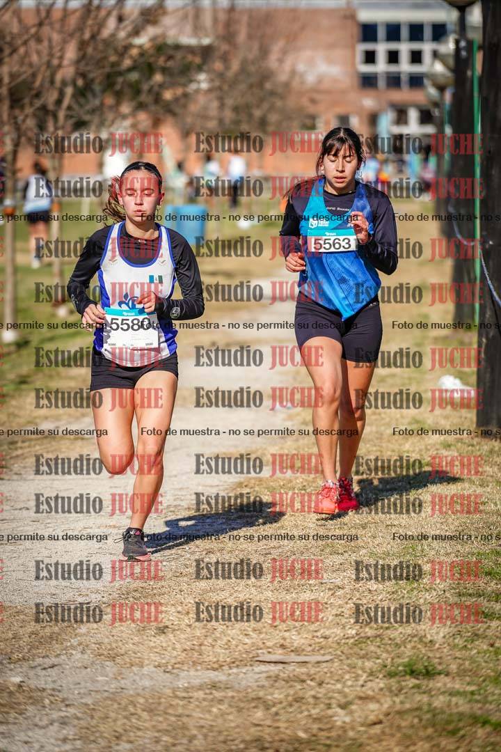 Fotos en el circuito