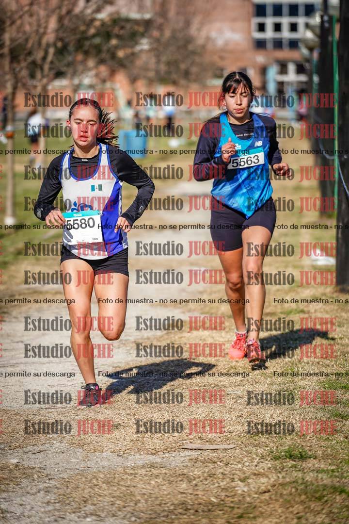 Fotos en el circuito