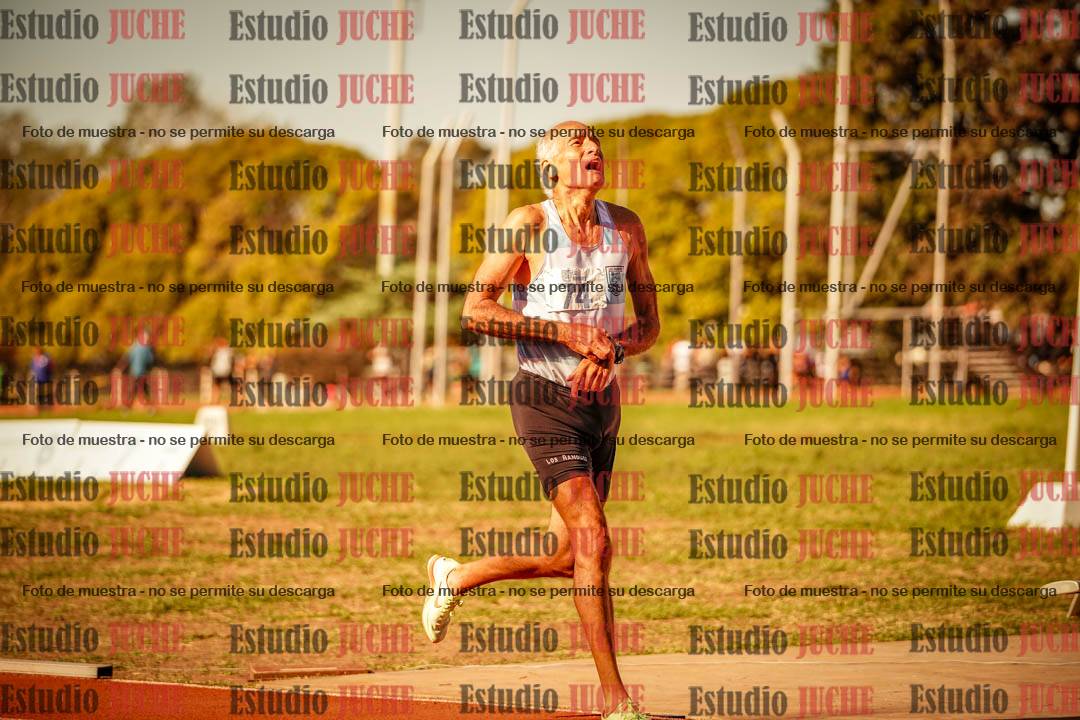 Fotos de los 800 m llanos de varones