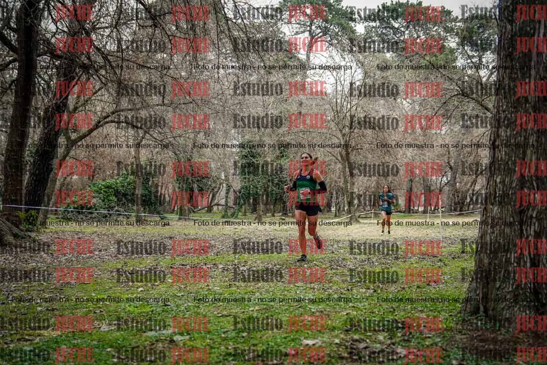 Fotos en el circuito