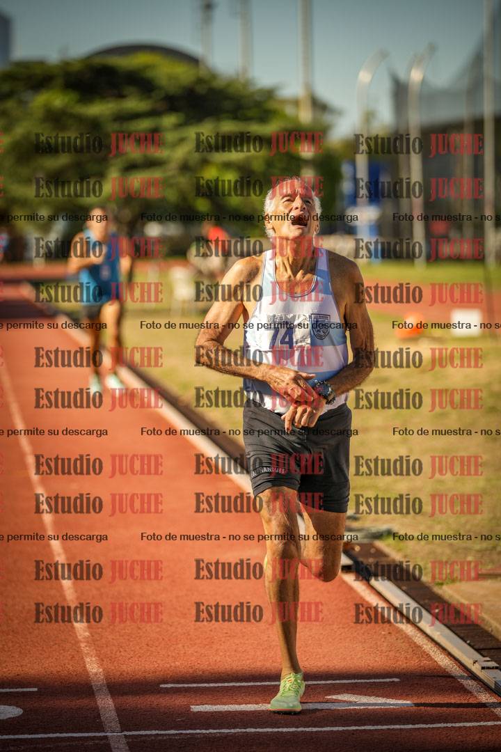 Fotos de los 800 m llanos de varones