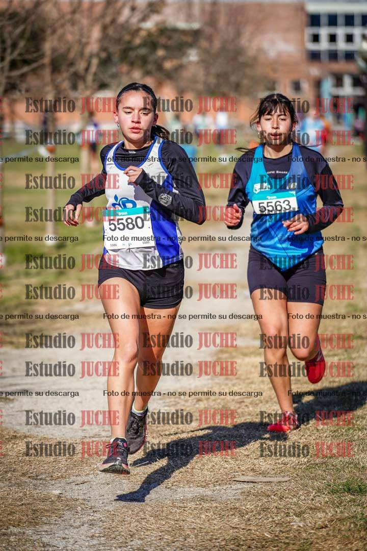 Fotos en el circuito