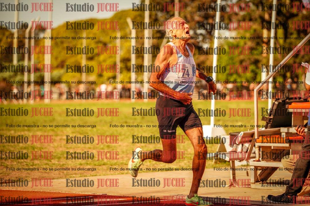 Fotos de los 800 m llanos de varones