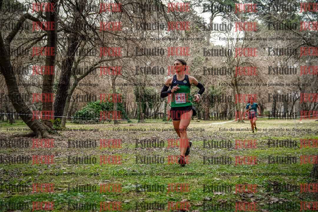Fotos en el circuito
