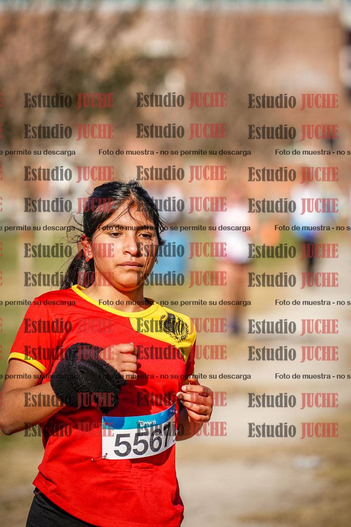 Fotos en el circuito