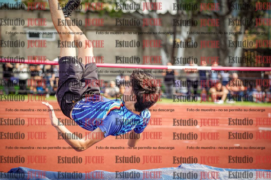 Fotos del salto en alto de varones