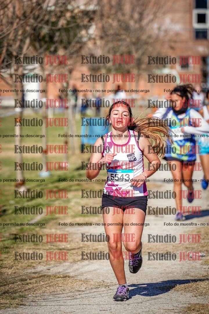 Fotos en el circuito