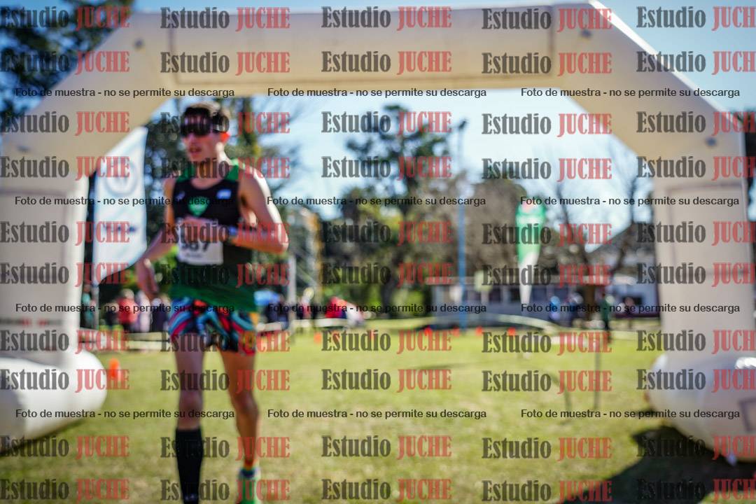 Fotos de la llegada del cross de 8000 m