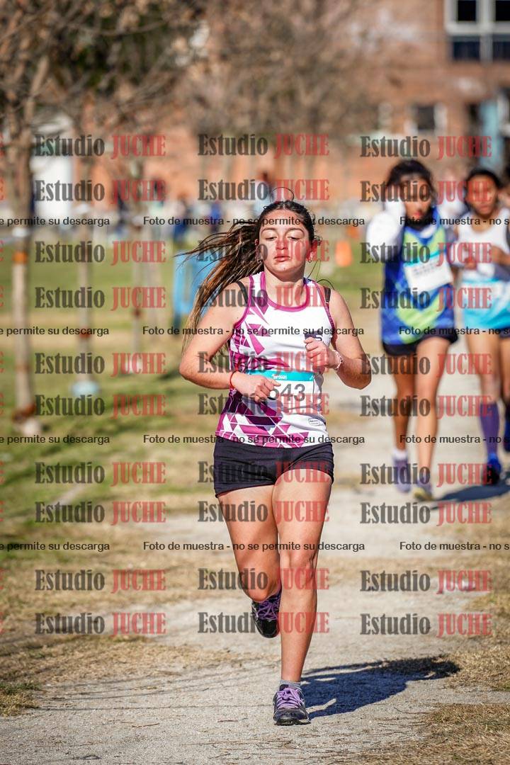 Fotos en el circuito
