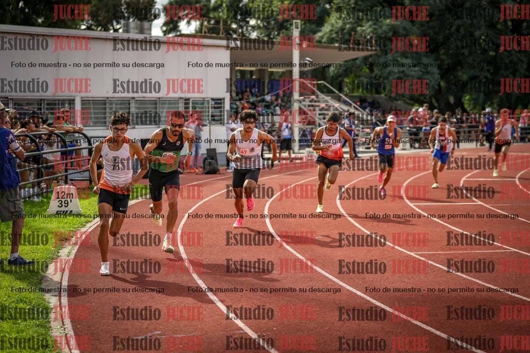 Fotos de los 800 m llanos de varones