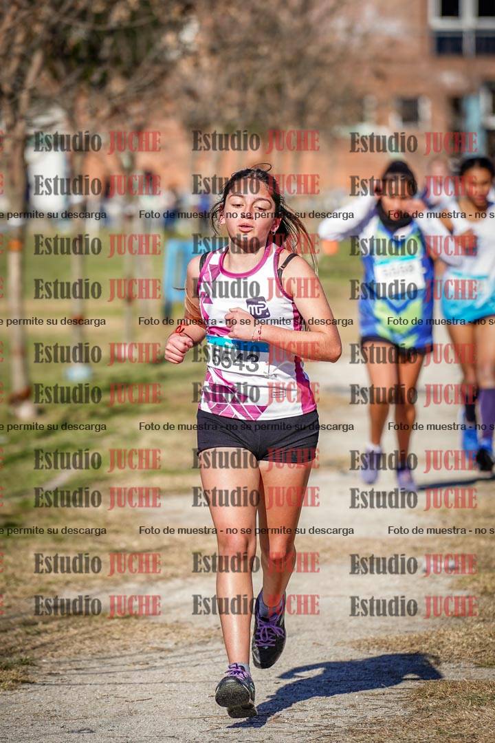 Fotos en el circuito