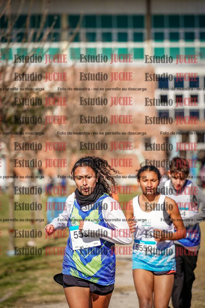 Fotos en el circuito