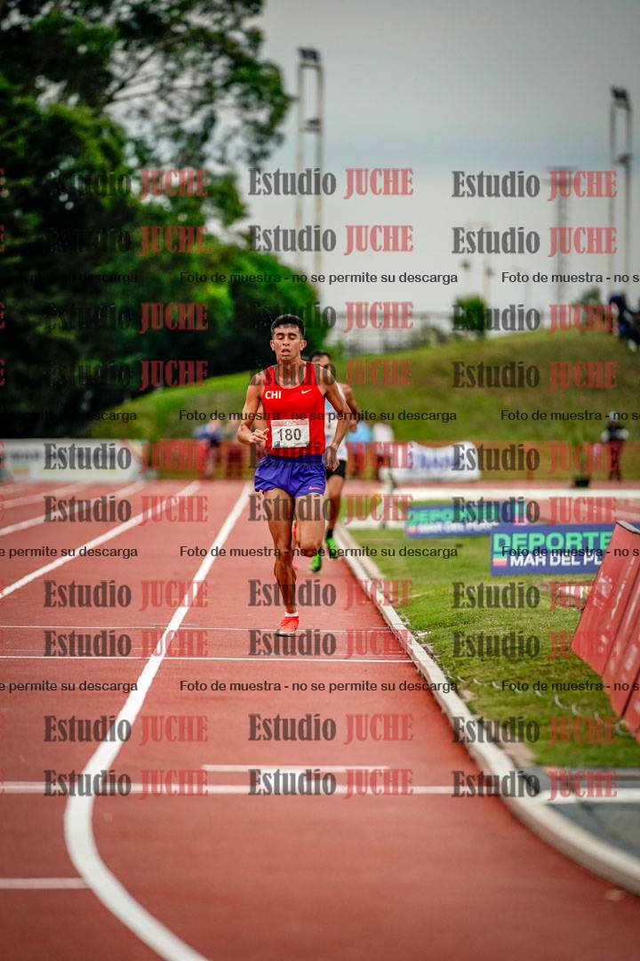 Fotos de los 10.000 m llanos de varones
