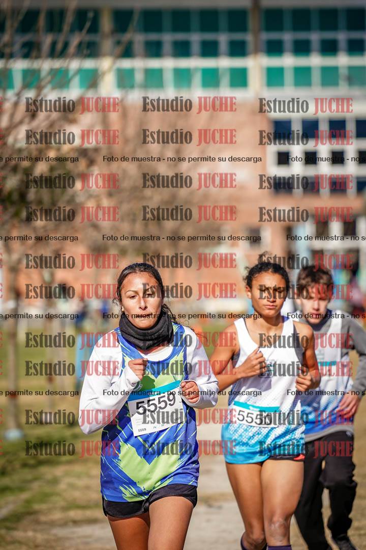 Fotos en el circuito