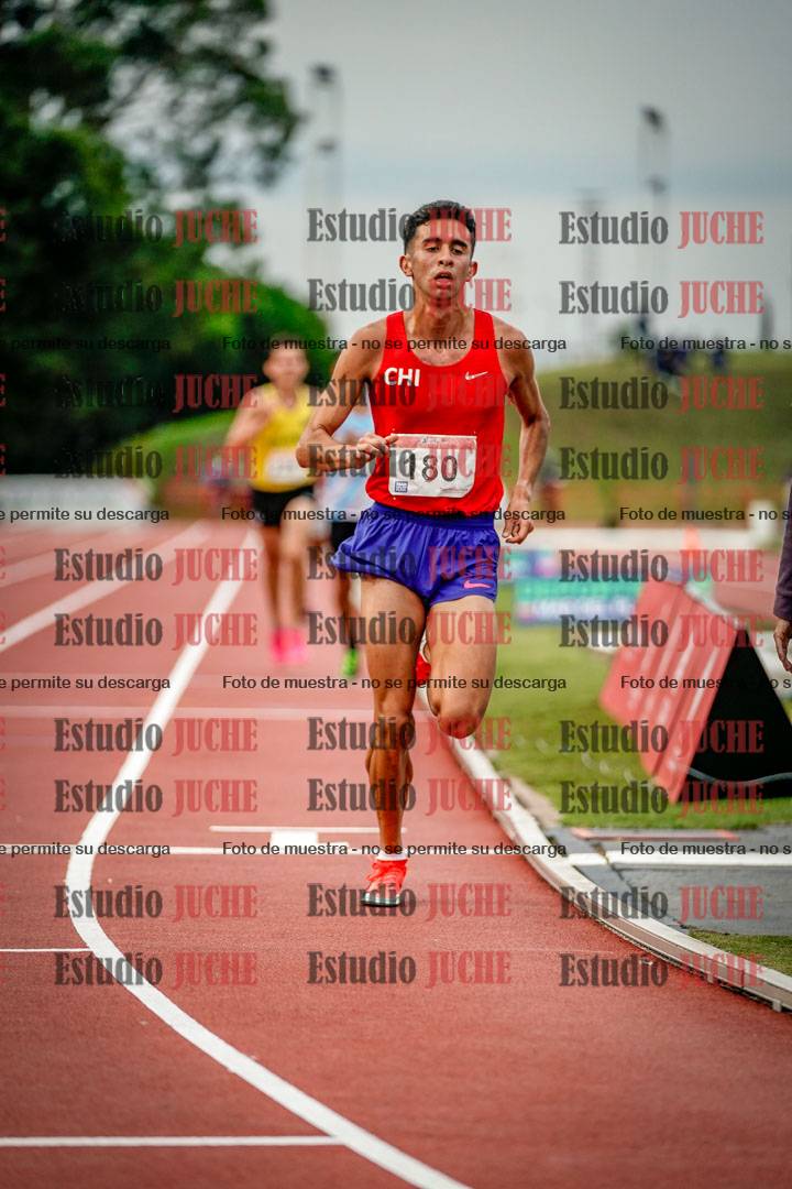 Fotos de los 10.000 m llanos de varones
