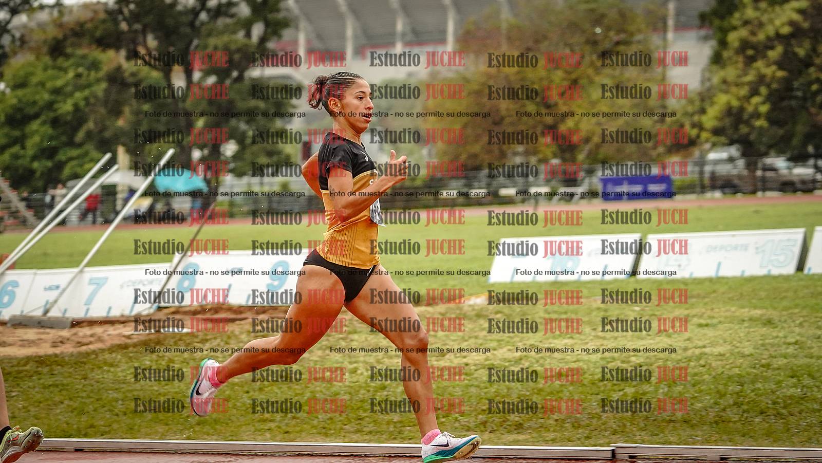 Fotos de los 1500 m llanos de mujeres