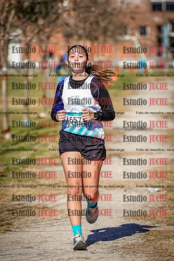 Fotos en el circuito
