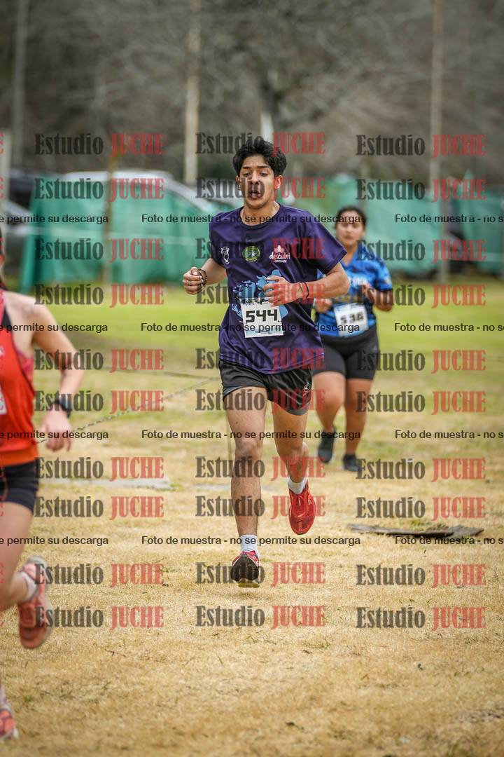 Fotos en el circuito