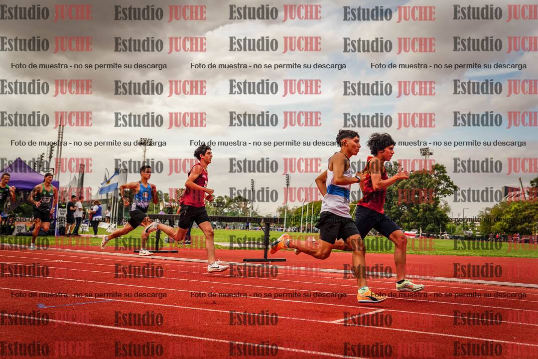Fotos de los 800 m de varones